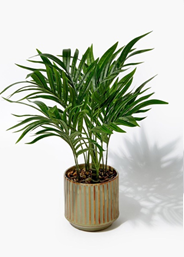 Mix Attractive Pots with Artificial Plants to enhance a Focal Point